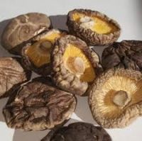 Dried mushrooms