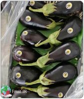 Top Iranian Eggplant (Long eggplant, Round eggplant, Baby eggplant)