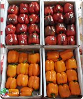 Fresh Top quality Bell Pepper, Sweat Pepper, Capsicum