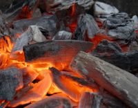 Hardwood Charcoal