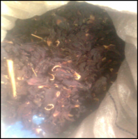 Dried Hibiscus Flower