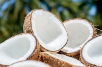 Coconut