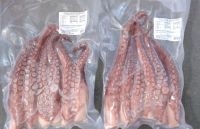 TOP GRADE FROZEN OCTOPUS AVAILABLE