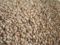 Mixed  Sesame seed