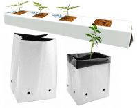 Grow Bags