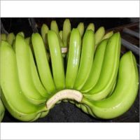 IMPORTED CAVENDISH BANANA 