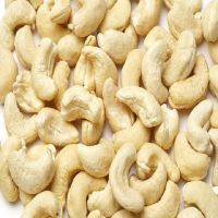 Raw Cashew Nuts in shell for sale