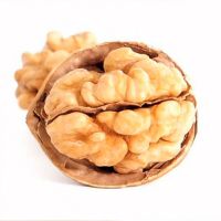 Paper Shell Raw Walnuts with Discount For Bilk Orders