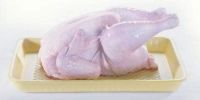 Frozen halal whole chicken