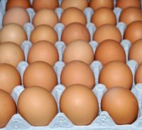 Fresh chicken brown and white eggs