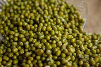 mung bean 