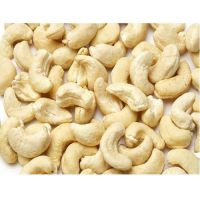 cashew nut 