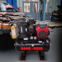 Hot Sale High Quality Gasoline Screw air Compressor