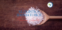 High Quality Basmati Rice