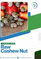 Processed Cashew Nuts 