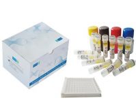 Singclean (AFP) Alpha-Fetoprotein ELISA Test