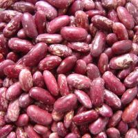 Light Speckles  Kidney Beans