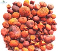 Cow Gallstones | Ox Gallstones | Cattle Gallstones | Gallstones