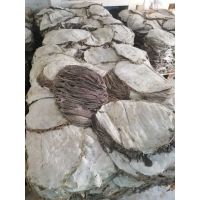 Cow omasum (stomach) / dried omasum for sale