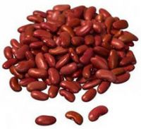 2021 New Crop Red Kidney Beans