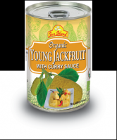 Young Jackfruit Curry sauce - in a delicious Curry Sauce