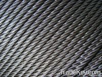 galvanized steel strand wire rope 1x19, 1X7, 1X19, 7X7, 7X19, 6X36SW,