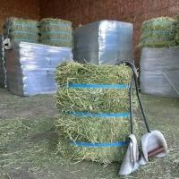Timothy hay bale