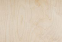 Birch Plywood