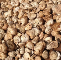 Top Quality Grade Natural Rubber Cup Lump with Drc of 72% for Sale, High Quality Cup Lump Natural Rubber, Natural rubber cup lump