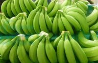 Fresh Cavendish Bananas High Quality Sweet