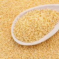 best quality hulled organic millet for sale 