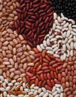 High Quality Black,Red,White Kidney Beans 2019 Crop Year 