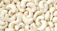 Cheap Raw Cashew Nuts/ Cashew Nut Size W180 W240 W320 W450/ Certified WW320 Dried Cashew nut