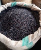 Whole Sale Price High Grade Great Taste Natural Product Black Pepper from Tang Black Pepper 500 GL Clean