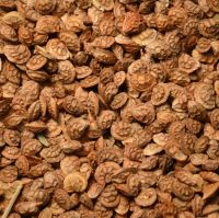 Sainfoin (onobrychis Sativa