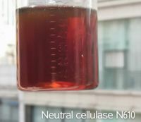 Enzyme Food Additives