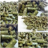 Quality Alfafa Hay for Animal Feeding Stuff Alfalfa / Timothy / Alfalfa Hay for Sale Quality Alfafa Hay for Animal Feeding Stuff Alfalfa / Timothy / Alfalfa Hay for Sale