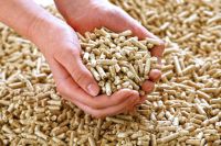 Best Grade Wood Pellets DIN PLUS/ENplus-A1 Wood Pellets/Wood Pellets Pine and Oak Wood Pellets