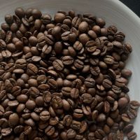 Raw Coffee Bean High Quality Beans