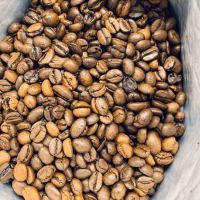 100% Organic Indian Origin Medium-Light