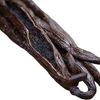 Buy Wholesale Vanilla Planifolia Dry And