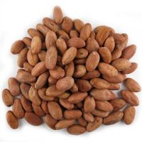 Buy Dried Cocoa Beans In 50kg