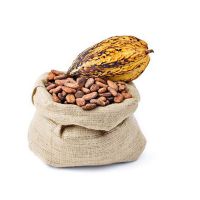 Ghana Cocoa Bean Price Per Kg