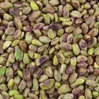 Suppliers Bulk Raw Pistachio Nuts Pistachios