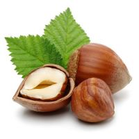 Bulk Wholesale Taste Quality Blanched Hazelnut