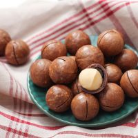Wholesale Macadamia Nuts In Shell, The