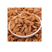 Organic Almond Nuts Wholesale / Dried Almond