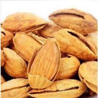 Cheap Wholesale Sweet Californian Almond Nuts