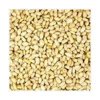 High Quality Organic Pine Nuts Kernel Delicious China Dried Pine Nuts in Shell Wholesale Supply for Snacks