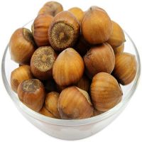 Factory Prices Raw Hazelnuts/Hazel Nuts
